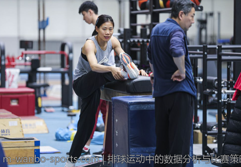 排球运动中的数据分析与比赛策略优化工具
