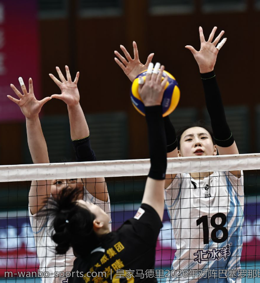 皇家马德里2026年对阵巴塞罗那比分最新预测